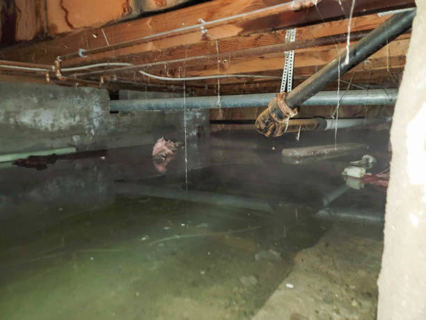 Best Sewage cleanup and water damage restoration  in Austin, AR