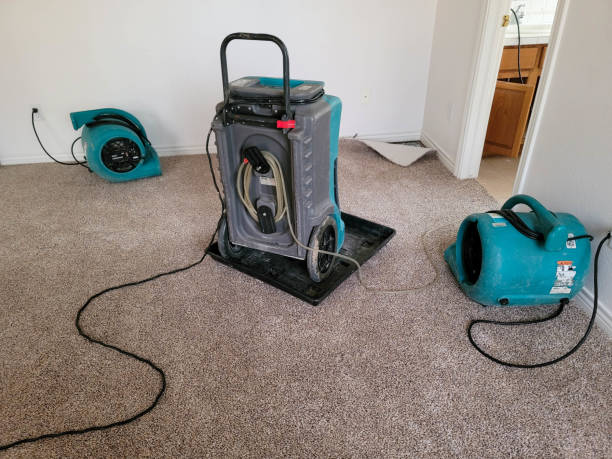 Best Water damage restoration near me  in Austin, AR