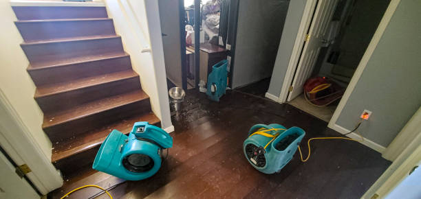 Best Water damage cleanup near me  in Austin, AR
