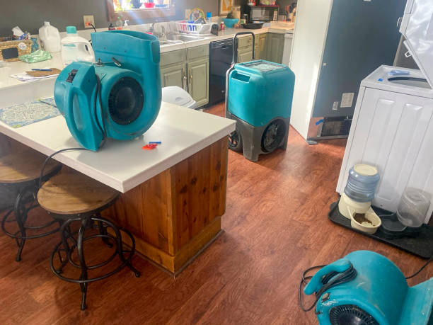 Best Water damage restoration near me  in Austin, AR