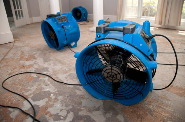 Best 24-hour water damage restoration  in Austin, AR