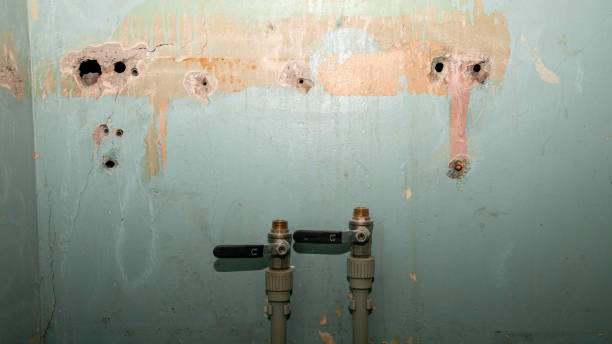 Best Mold removal after water damage  in Austin, AR