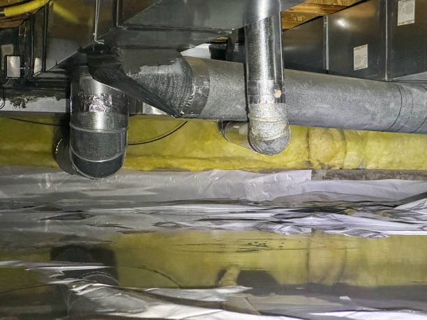 Best Local water damage restoration  in Austin, AR