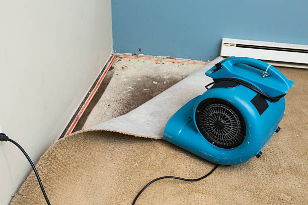 Best Local water damage restoration  in Austin, AR